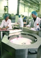 Formation Production Formation Production