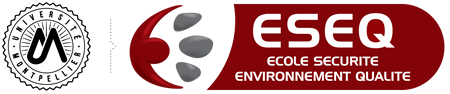 ESEQ ESEQ