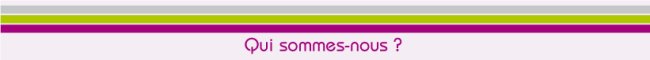 STRATEJE Qui sommes nous 