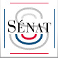 Le Sénat a adopté le projet de loi relatif à l'orientation et à la formation professionnelle tout au long de la vie.