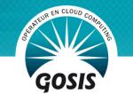 GOSIS obtient 300 000 euros auprès du FEDER et d’OSEO.