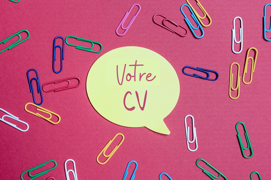 Illustration du CV CANDIDAT