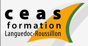 Deux stages de formation au DEAVS à Montpellier et Nîmes à la rentrée.