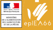 Formation préparant au CAP « Services en milieu rural » au CFPPA Pyrénées Roussillon