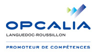 Appel à projet FSE OPCALIA LR 2012-2013