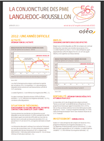 La conjoncture des PME en Languedoc-Roussillon : prévisions pessimistes pour 2013