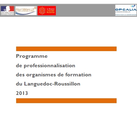 Programme de professionnalisation des organismes de formation 2013