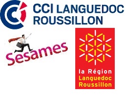 Challenge du financement 2013