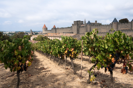 Le secteur touristique en LR