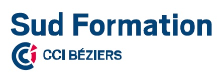 Sud formation CCI Béziers : nouvelle formation par alternance aux métiers des réseaux