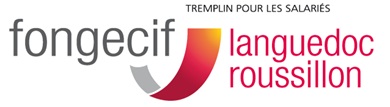 Impacts du CIF sur les salariés et les demandeurs d'emploi du Languedoc-Roussillon