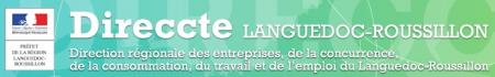 Appel à projets de la Direccte LR : « Développement de l’emploi en Languedoc-Roussillon 2015 »