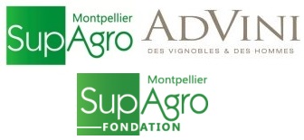 AdVini lance, en appui avec Montpellier SupAgro et SupAgro Fondation, le concours Vignerons et terroirs d’avenir.