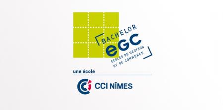 Une nouvelle école de gestion et de commerce ouvre à Nîmes en septembre 2016.