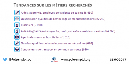 Les besoins en main-d'œuvre 2017 en Occitanie