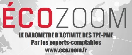 Analyse de l'activité des TPE/PME par l'ordre des experts-comptables de la région de Montpellier (LR + Aveyron)