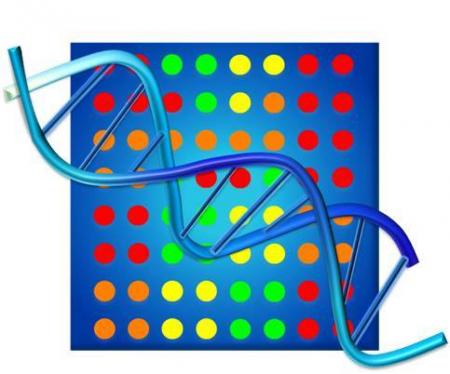 Microbia Environnement lève 573 000 € pour lutter contre les algues toxiques.