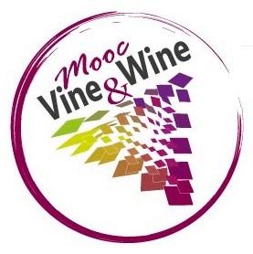 « MOOC Vine & Wine » : introduction aux sciences de la vigne et du vin