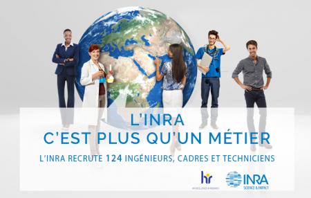 L'Inra recrute 124 ingénieurs, cadres, techniciens et personnels administratifs (H/F) : inscriptions jusqu'au 15 mars