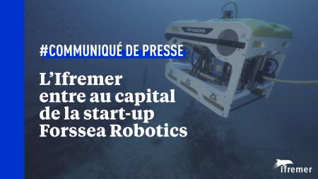 L'Ifremer entre au capital de la start-up héraultaise Forssea Robotics.