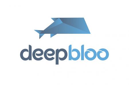 Deepbloo lève 1 M€ pour développer sa plateforme dédiée aux professionnels de l'énergie. 