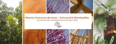 Création d'un master bois à la Faculté des Sciences de l'Université de Montpellier