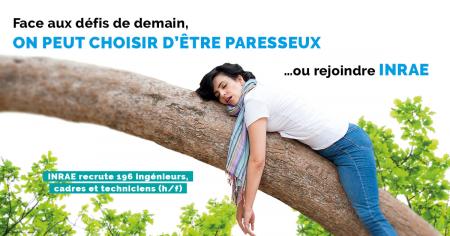 Concours externes des ingénieurs, cadres et techniciens à l'INRAE : 196 postes à pourvoir dont 26 en Occitanie 