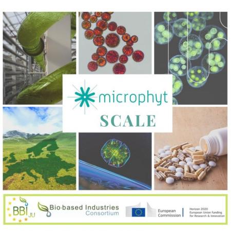 Microphyt construit à Baillargues la première bioraffinerie industrielle de microalgues au monde.