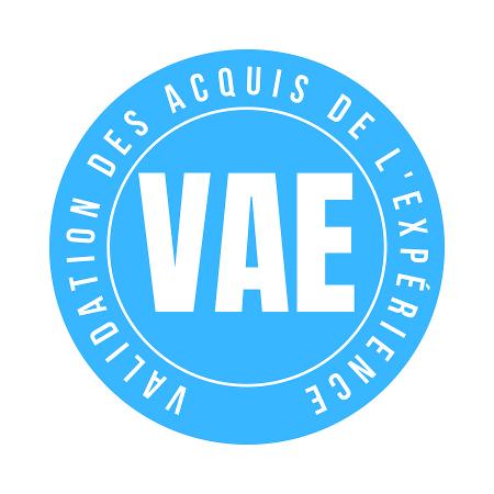 Illustration de Réforme de la VAE : quels changements en 2023 ?