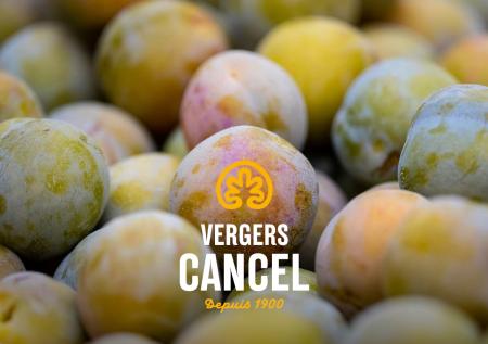 Vergers Cancel investit 7,5 M€ dans son outil industriel à Castelsarrasin.