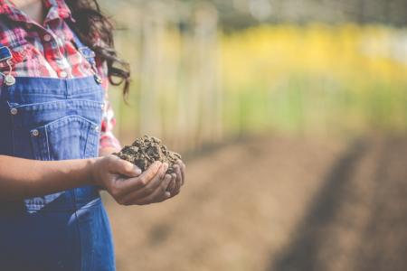 Quel est le poids du secteur agricole en Occitanie ?