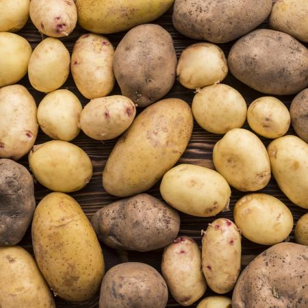 BC Pommes de terre a quitté les Bouches-du-Rhône pour s'installer dans le Gard.