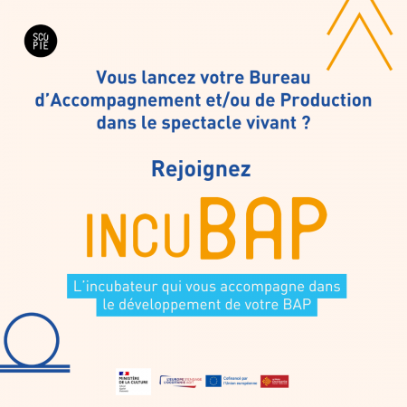 Appel à candidature – 3e et dernière édition de l'incubateur incuBAP
