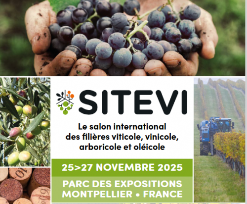 SITEVI 2025