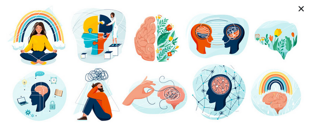 Webinaire sur les différentes pathologies mentales