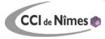 Le CFA de la CCI de Nîmes recrute pour ses 5 BTS.