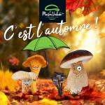 Construction d'un deuxième site de production et développement du bio pour Maison Vialade en 2021